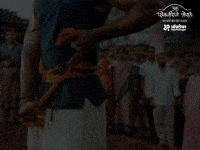 Punhashivajiraje GIF by Marathi PR