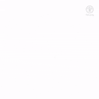 Bees Pollination GIF by FAO