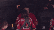 Ice Hockey GIF by NHL