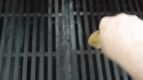 grill GIF