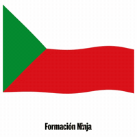 Castilla-La Mancha Flag GIF by Formación Ninja