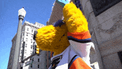 ice hockey GIF by Lehigh Valley Phantoms