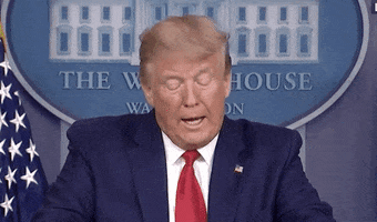 Donald Trump GIF