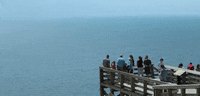 michigan GIF