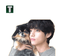Dog Love Sticker by koreadispatch