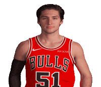 Ryan Arcidiacono Sticker by Chicago Bulls