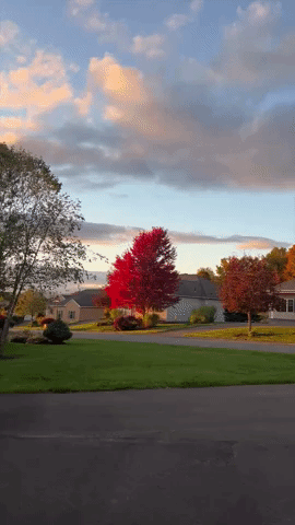 Massachusetts' Berkshires Treated to Vivid Autumn Colors
