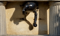 GIF by Alex Boya