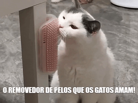 tuahpet giphygifmaker GIF