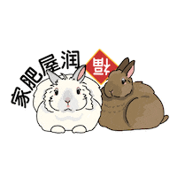 Chinese New Year Bunny Sticker by the3bunnies.co