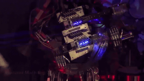 evolutionmusicru giphygifmaker GIF