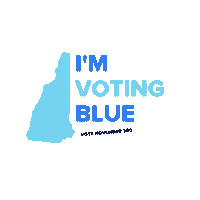 nhdemocraticparty vote election voting democrats Sticker