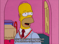 homer simpson sweater GIF