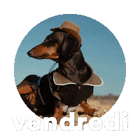 Sticker by Sealed With A GIF
