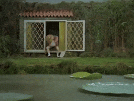 Jump Joy GIF