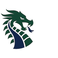 Nbisd Dragons Sticker by New Braunfels ISD