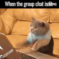 group GIF