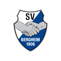 svbergheim football logo fussball bounce Sticker