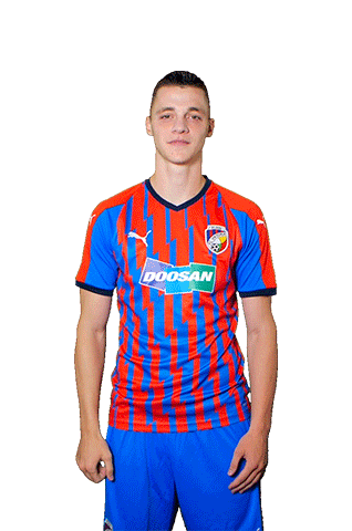 Janosek Sticker by FCVP