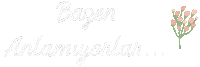 Birev Söz2 Sticker