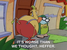 rockos modern life nicksplat GIF