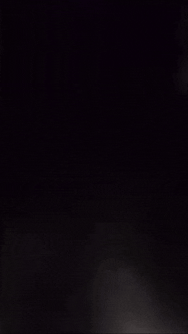 Harbour Seal GIF by Valley Zoo Development Society