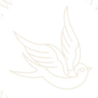 beauty hair Sticker by NavyProTools