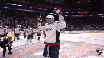 Happy Washington Capitals GIF by NHL