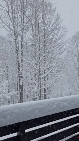Winter Storm Dumps Heavy Snow Near Burlington
