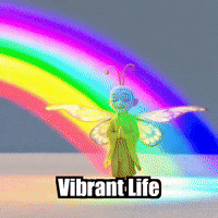 Rainbow Energy GIF by BuddhaFlyJourney