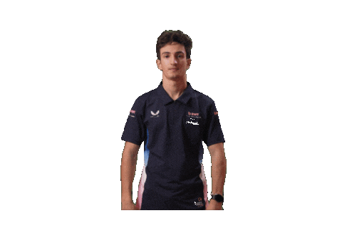 Formula 2 F2 Sticker by Prema Team