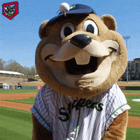 Sports gif. Chopper, the mascot for the Gwinnett Stripers leans back in agitation and stares up at the sky before clenching both hands into fists.