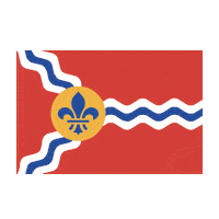 St Louis Stl Sticker by theSTL