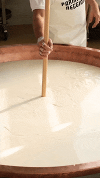 Cheese Parma GIF by Parmigiano Reggiano