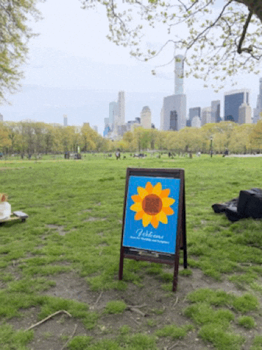 180Church giphyupload nyc central park 180 GIF