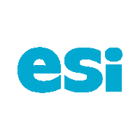 Ski Esi Sticker by ESi_SiMS