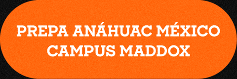 Torneo De La Amistad GIF by TDLA