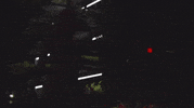fashion rihanna GIF by SAVAGE X FENTY