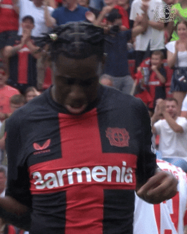 Happy Good Vibes GIF by Bayer 04 Leverkusen
