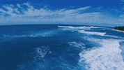 ta tranquilo ta favoravel GIF by Lucas Lucco
