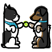 homesbyaviyyc dog puppy avi argyle Sticker