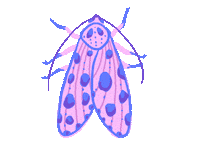 Pink Spring Sticker