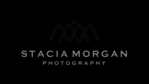 Staciamorganphotography giphyupload GIF