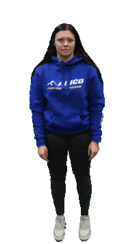 Point Alicia Sticker by ApicoFactoryRacing