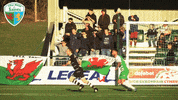 the new saints football GIF by TNSFC