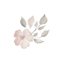 Wedding Flowers Sticker by Birdy Grey