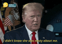 news interview donald trump united kingdom piers morgan GIF