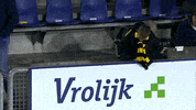 GIF by FOX Sports