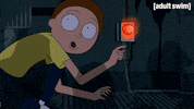 Season 1 Episode 105 GIF by Rick and Morty