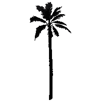 Palm Tree Sticker by Kylie Francis